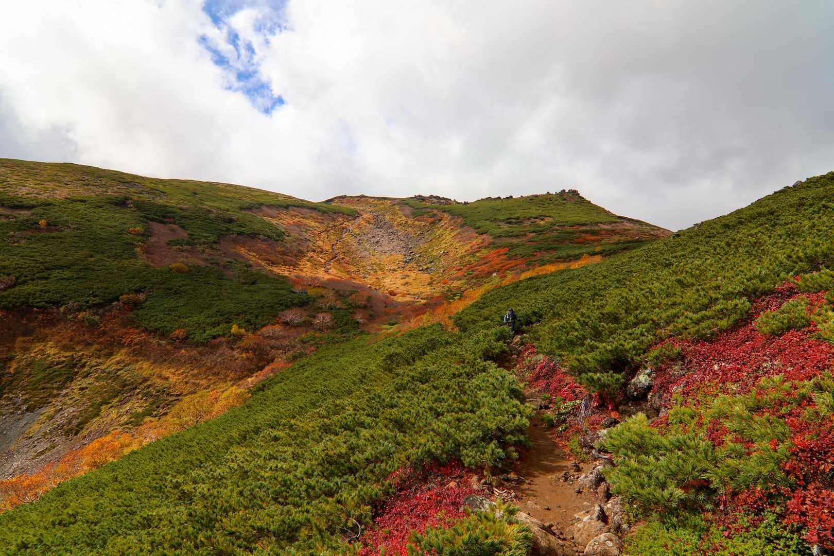 赤岳登山口-第一花園-赤岳 往復コースの写真