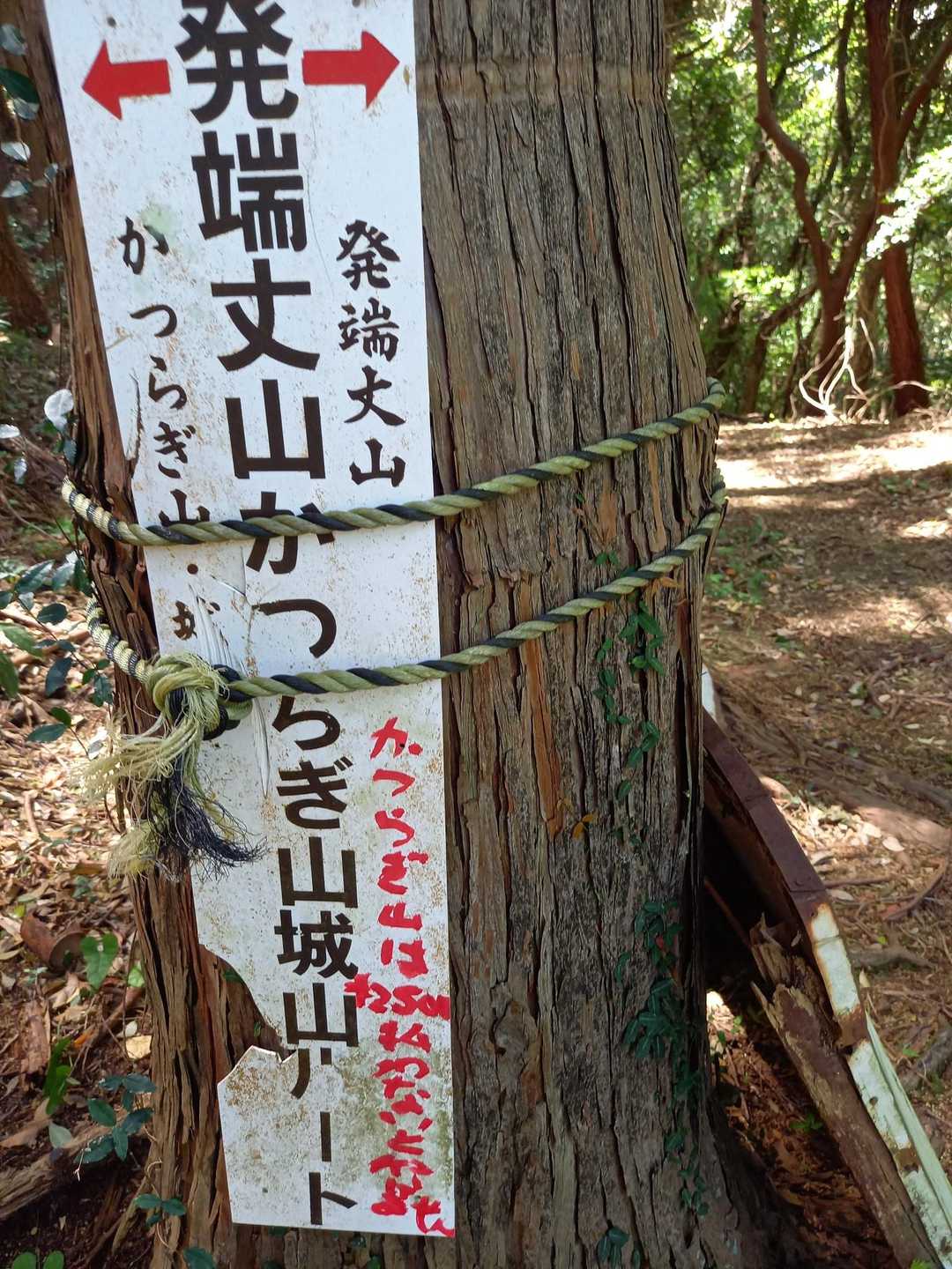 下の方には、かつらぎ山は、2,500円払わないと駄目と