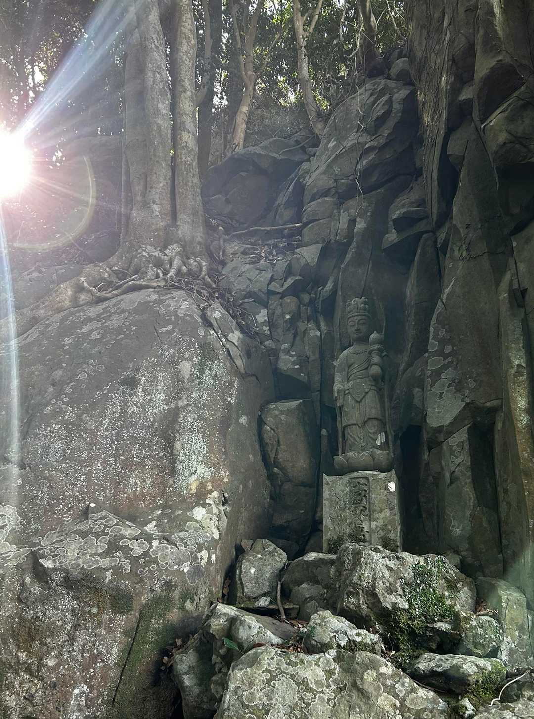 大島山 周回コースの写真