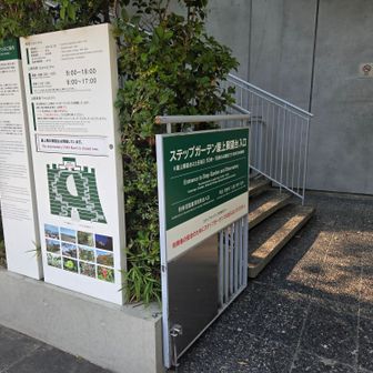 さぁ、行くよ