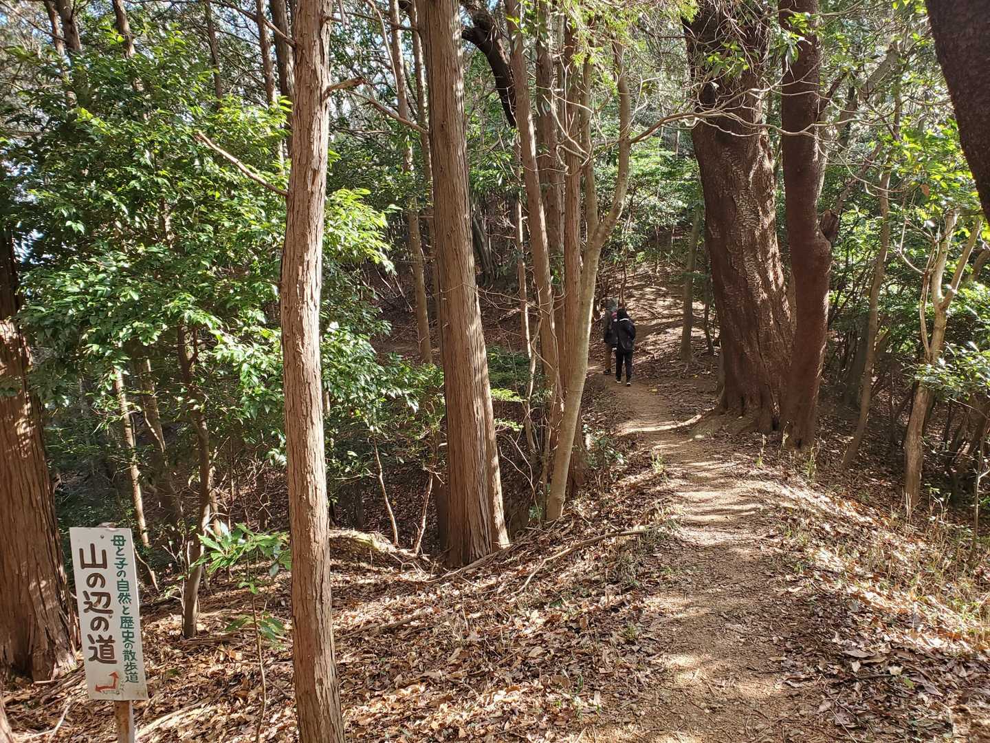 周回で🚶‍♀️