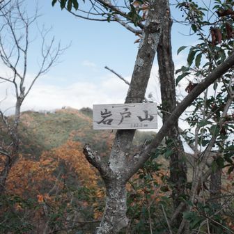 まずは岩戸山登頂⛰️