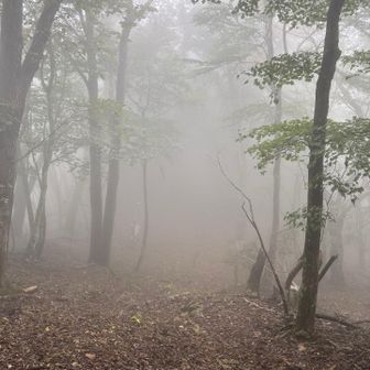雨にならないだけでもいいけど…
クマ鈴が鳴り響く