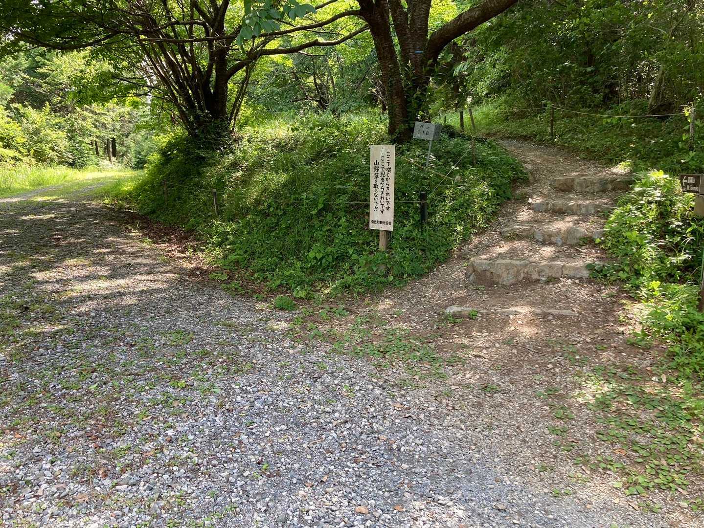 分岐を林道方面へ