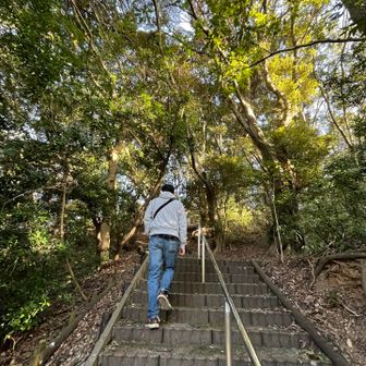 頂上目指して登ったら、、、