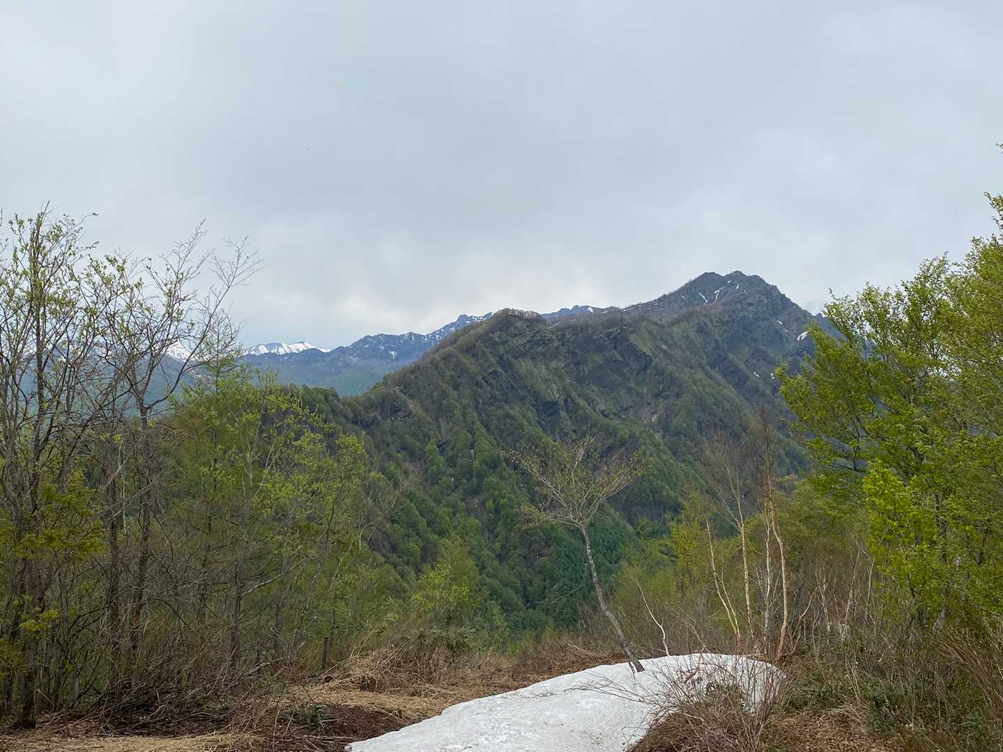 あ！西岳が‼️
登ってる時は気づかなかった💦💦