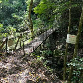 一人ずつ渡る⚠️
