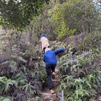 なんやかんやゆーて、頑張ってる子たち
