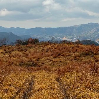 西側　米山⛰️、大将陣山⛰️方面