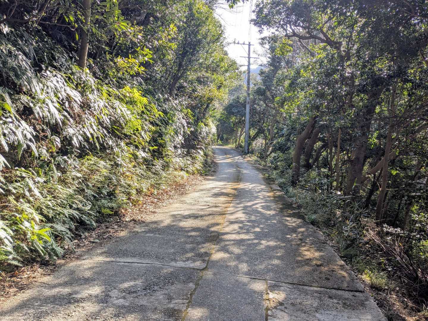 反時計回りで周回、大山へ
最初は舗装道路歩きでした