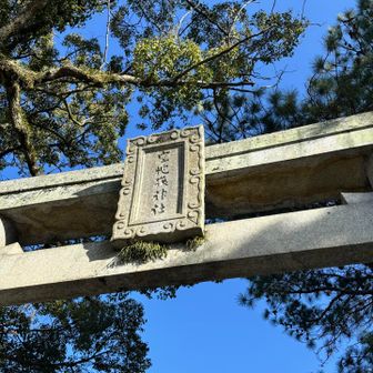 宮地嶽神社⛩️