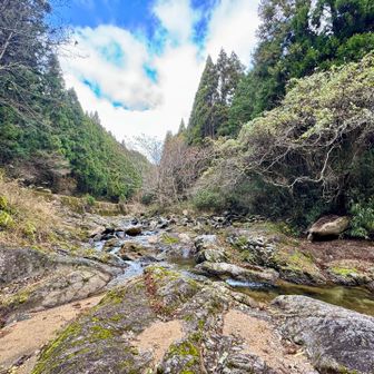 ここも渡渉🚶‍♀️‍➡️