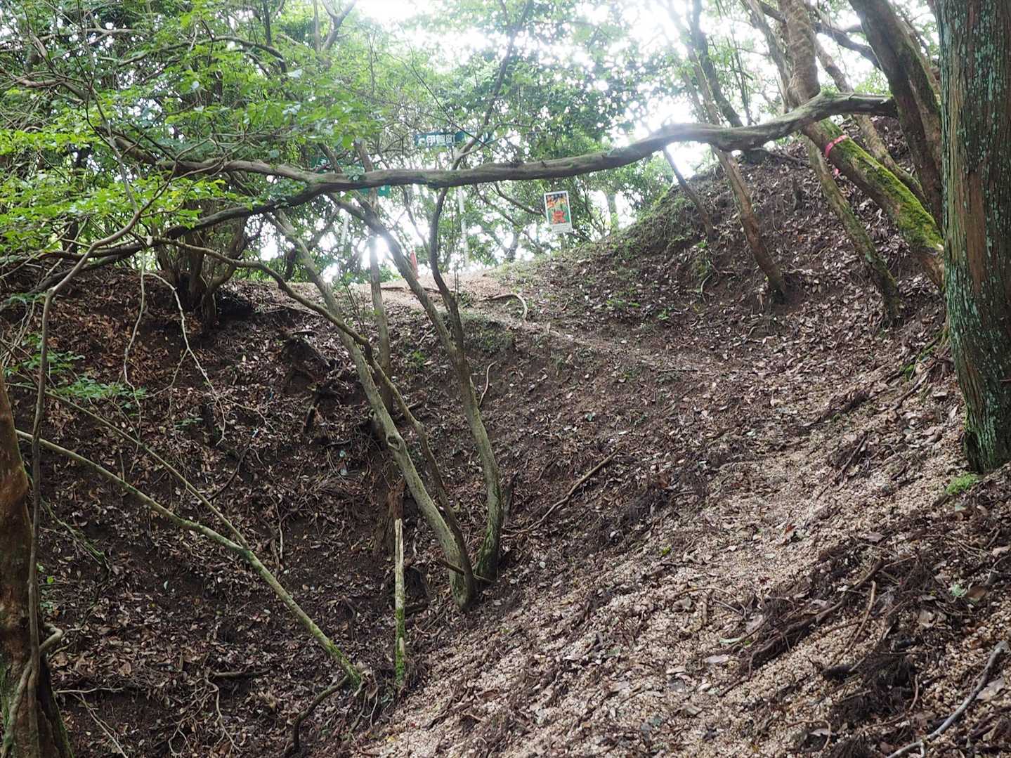 ぞろぞろ峠が近い。