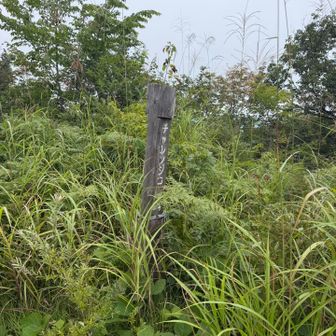 チャレンジコースはチャレンジャーを待っているようだった

※地獄・極楽コース、チャレンジコースともにYAMAPの赤線ではない