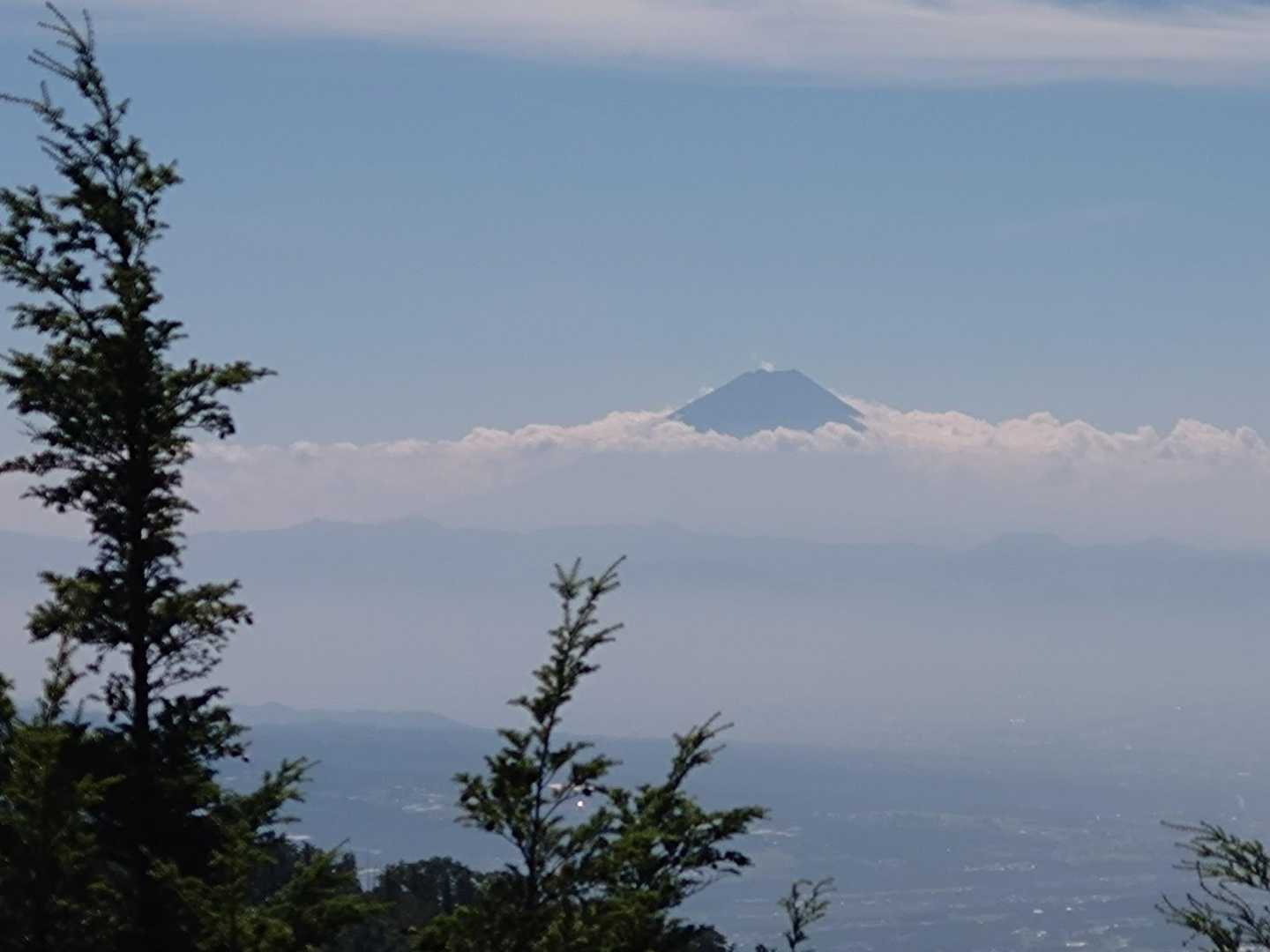 アップ🗻