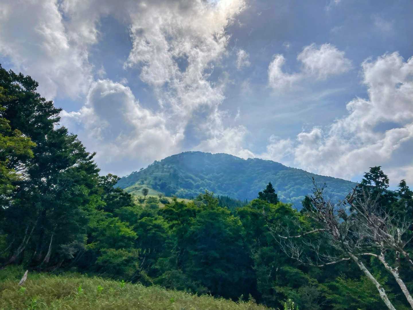 三室山が見えてきました