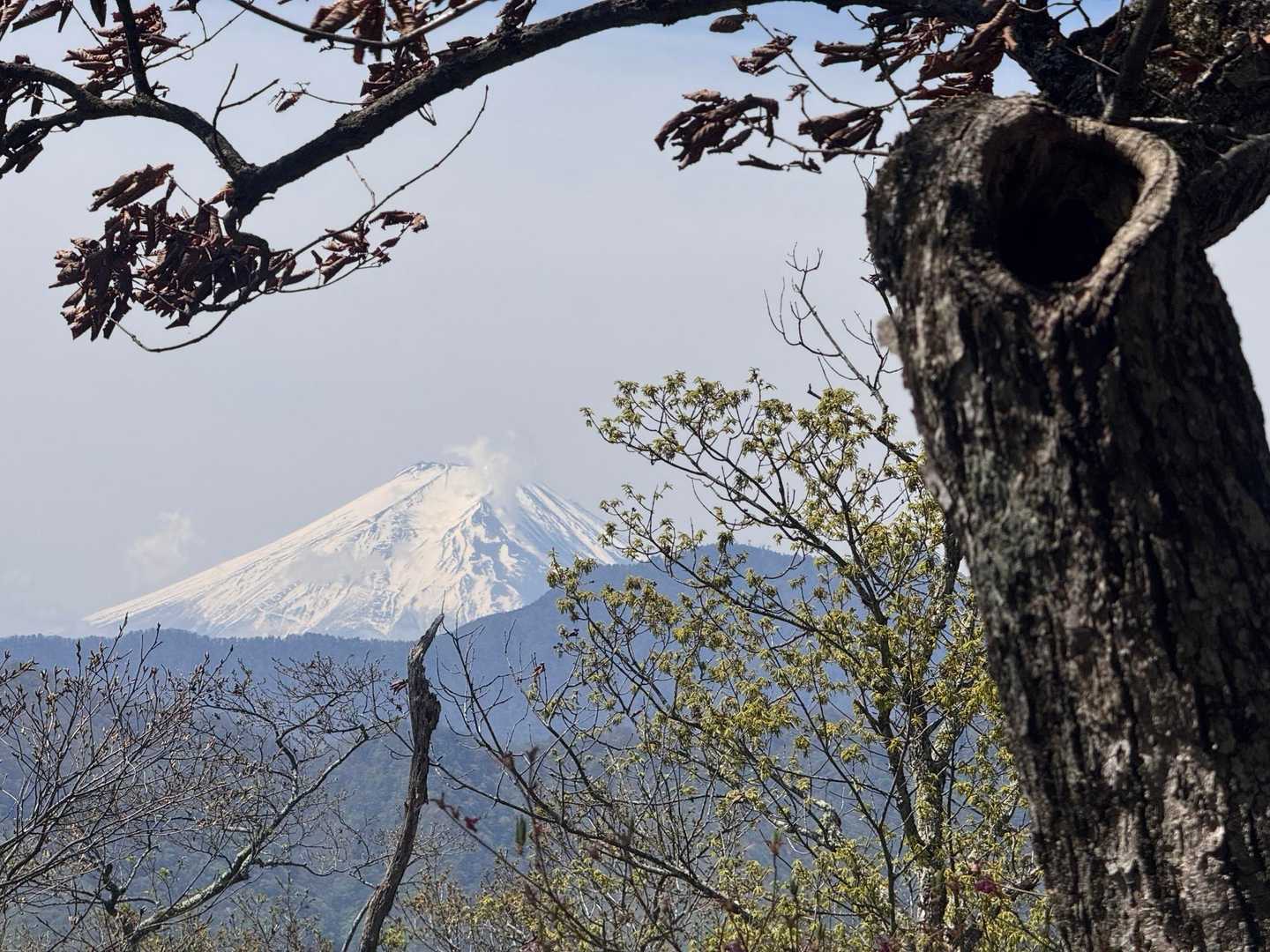 振り返ると富士山🗻。