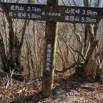 樅ノ木沢ノ頭到着。ここで戻ろとしましたが