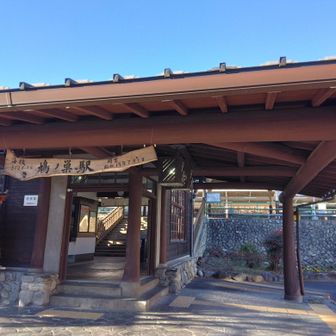 無事、鳩ノ巣駅到着、ここから奥多摩駅へ、総合公園まで戻る、帰りの、けもの道コース？下りきつかった~