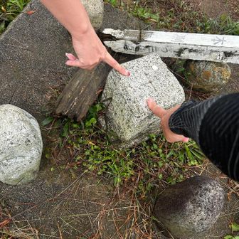 稲葉山三角点