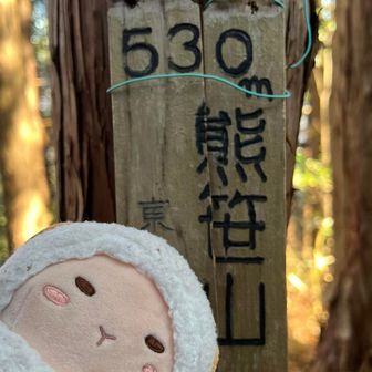 戻って熊笹山ゲット