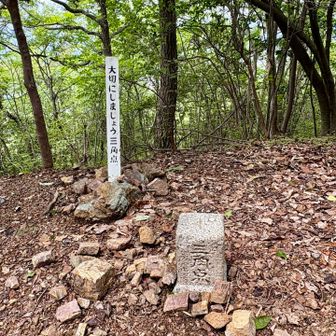 西峰到着
こちらも誰もいない〜😅