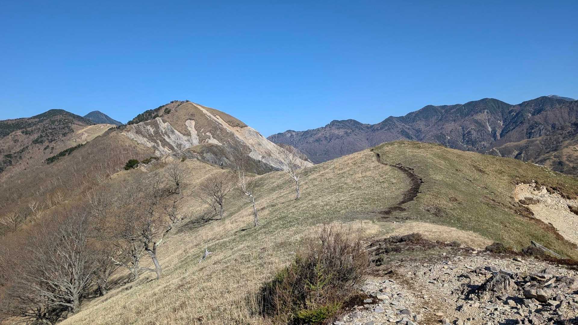 公園入口バス停-中倉山登山口-中倉山-沢入山-オロ山 周回コースの写真