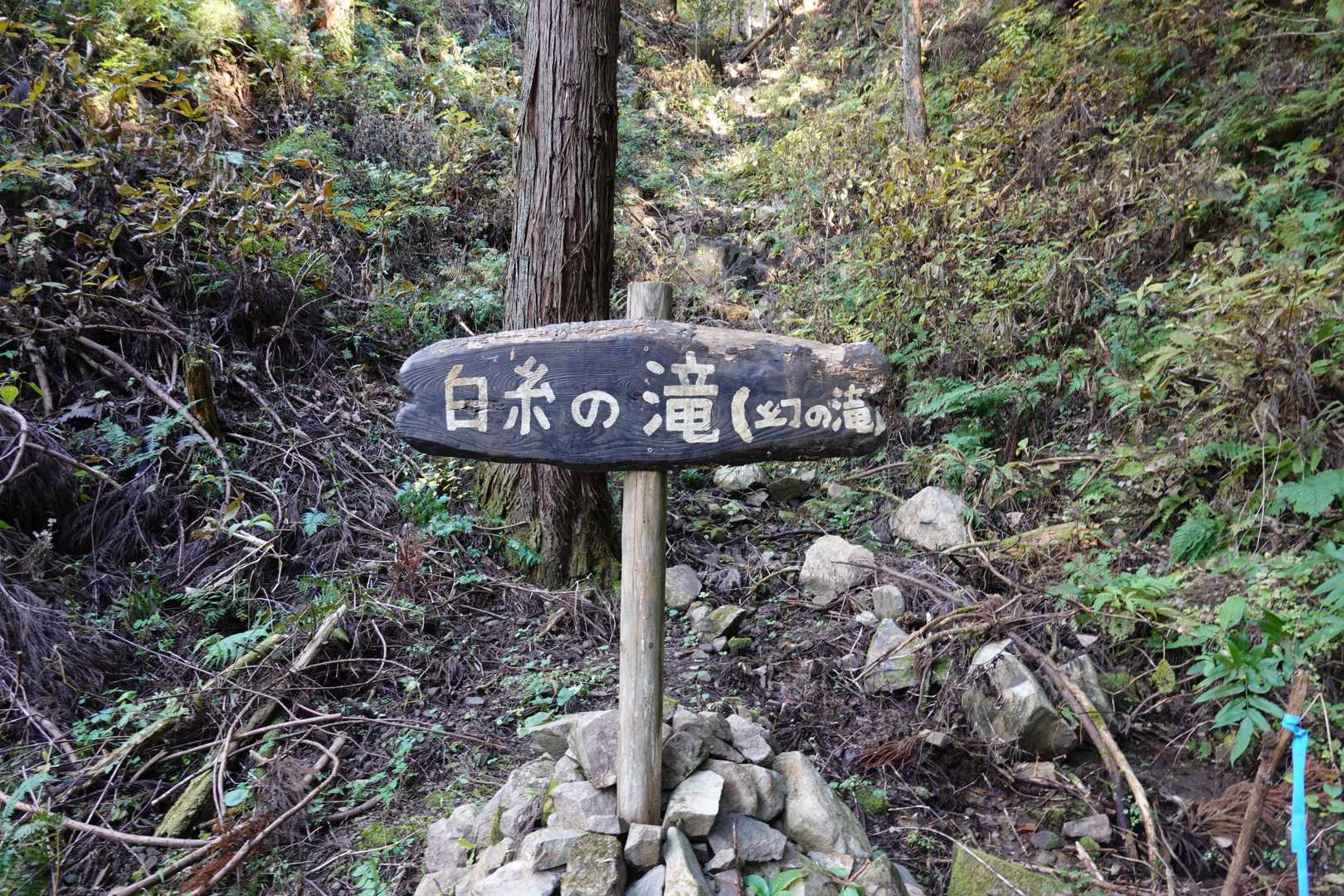 萬蔵山 往復コースの写真