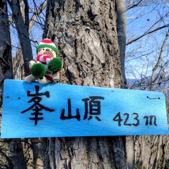峯山頂到着
ひょっとしてへそじゃなくてハムストリングスですか？