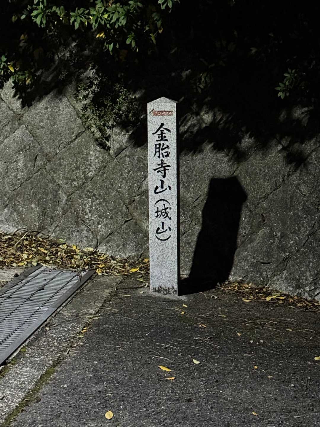 この先、街灯無いので真っ暗になります。