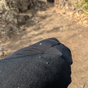 ☃️ちらついてきた