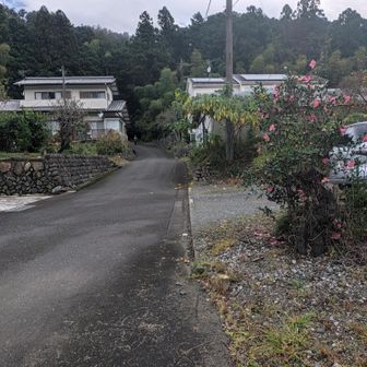 しばらく塗装路歩いて