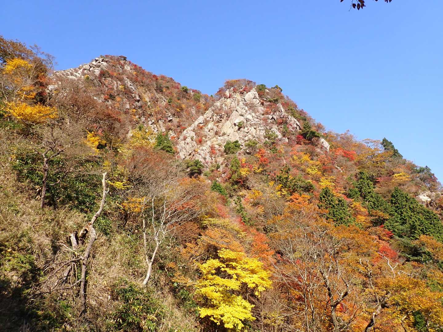 岳峠までもう少し、良い時期に来れました