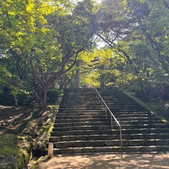 日陰になると涼しさ感じる🙌