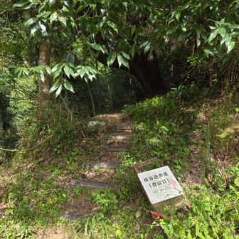 桜谷遊歩道登山口
降りて来ました➰😃👊✨
わかりずらい下山に道迷い等も😖💦スマホを見ながら苦戦。
でも🍄には大満足でした😃🙌