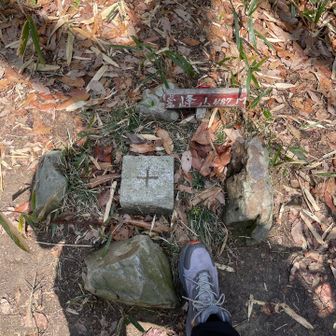 三角点名は峰山なんや🤔