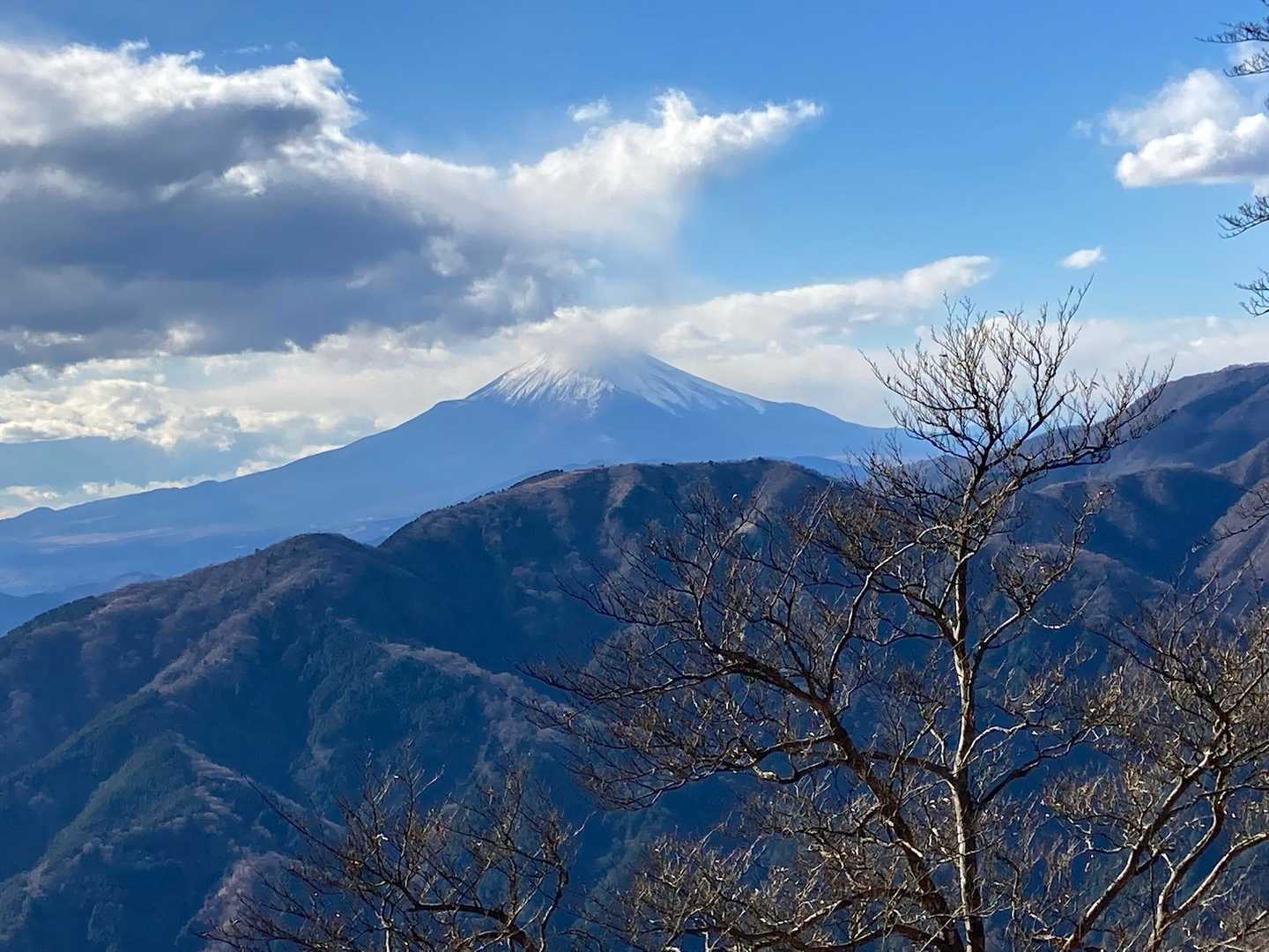 富士山の傘が取れてきたー！