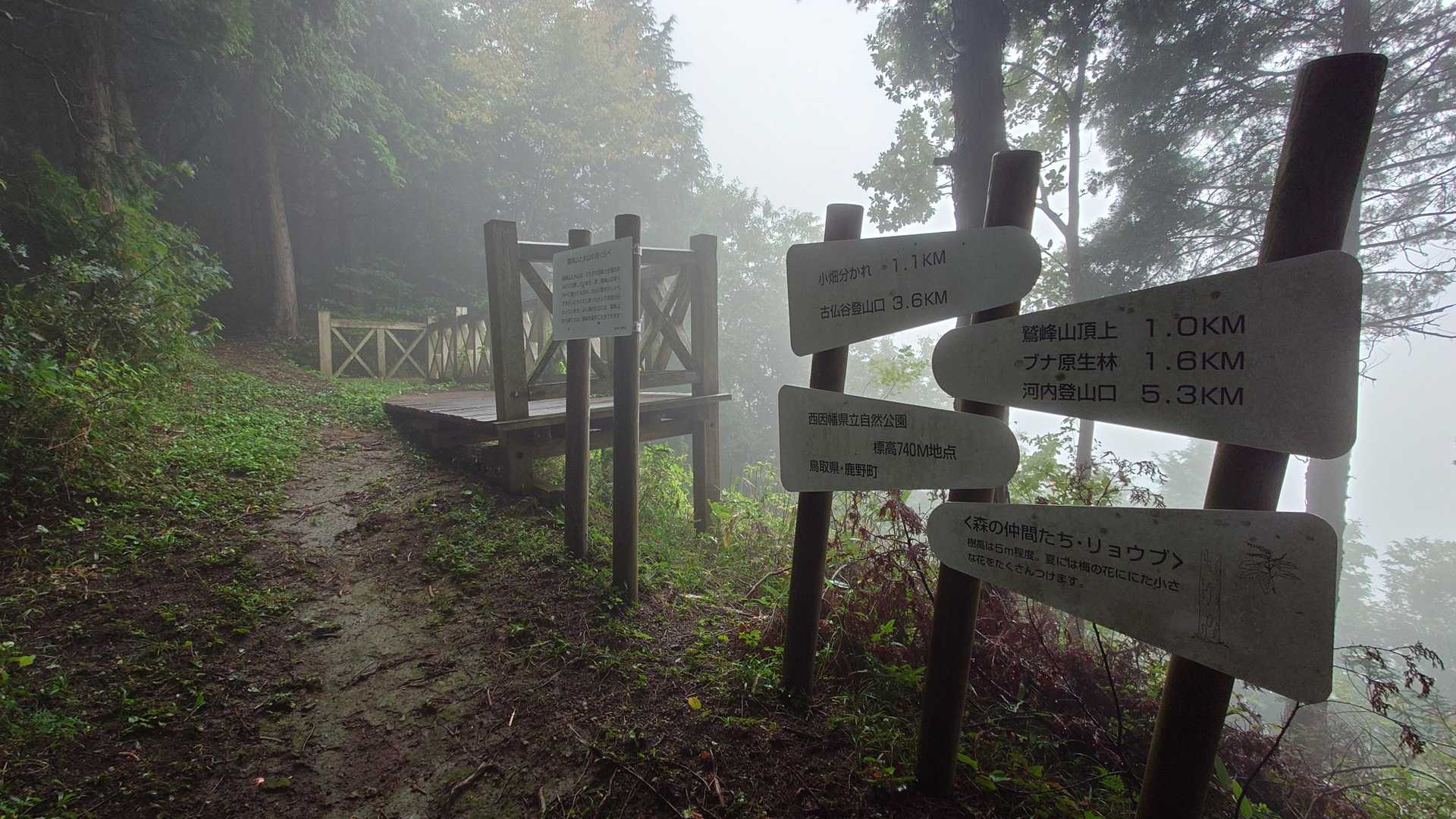少し前に再整備され、大山山頂部も望むことができるというこの展望台。
さすがにこの日は期待すらも・・