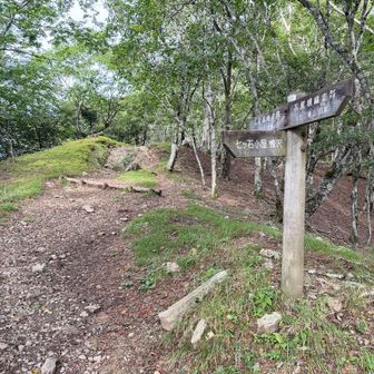この分岐から七ツ石山へ向かう。あと少しで登頂だ。