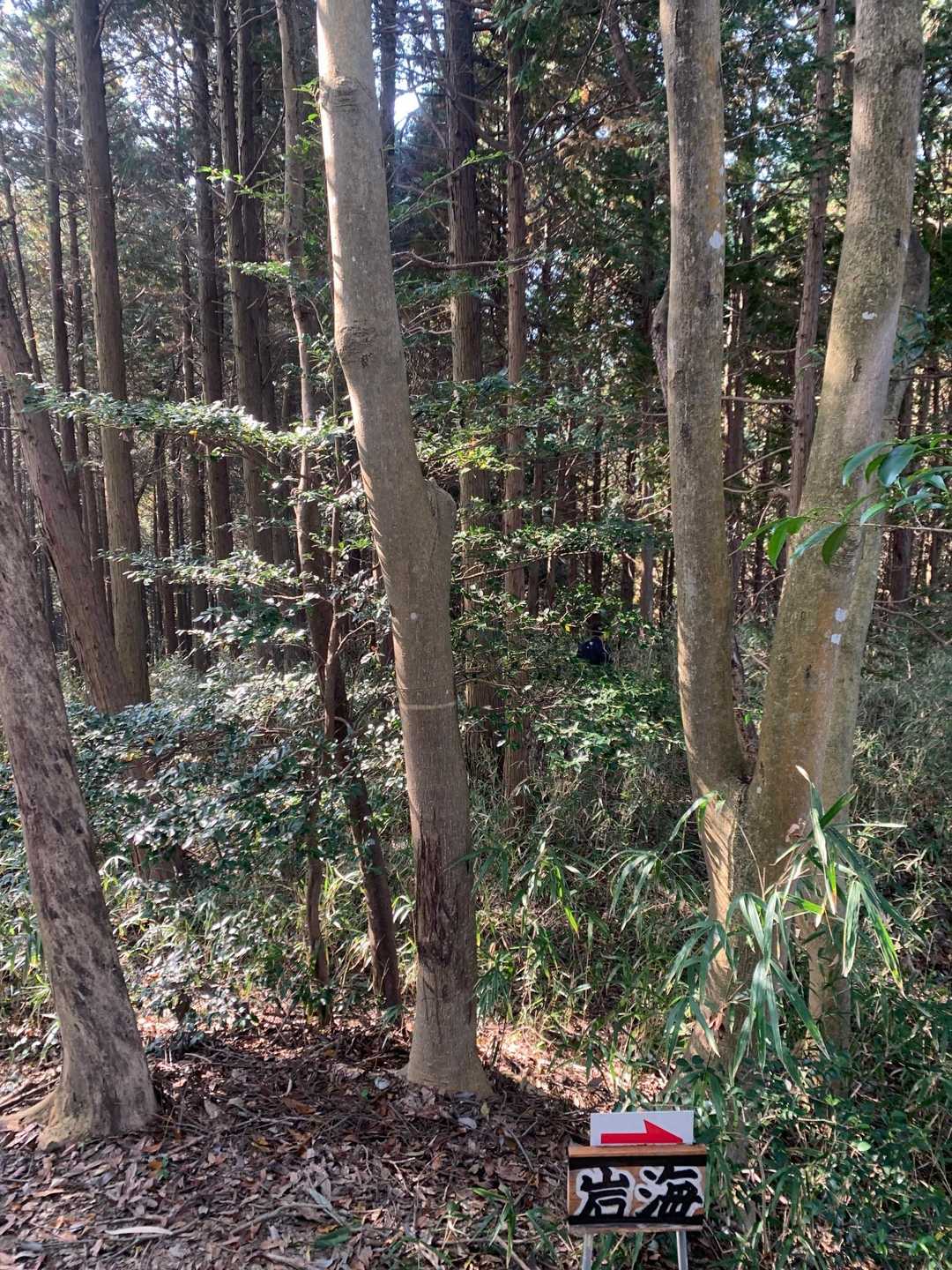 またまた貴重な刈る前‼️
俺の後には草は無い⁉️byふくさん