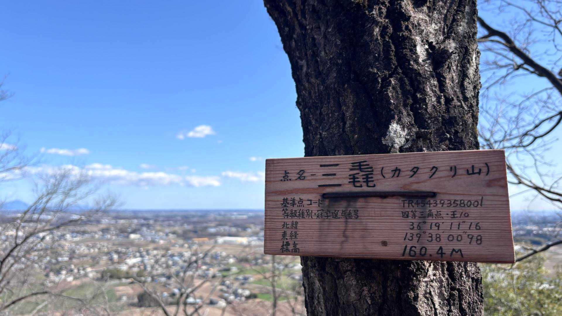 カタクリ山