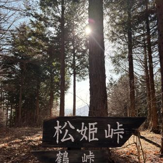 武田信玄の娘｢松姫｣が織田軍から逃れる為に越えたという伝説に由来しているそうです🤔🧐