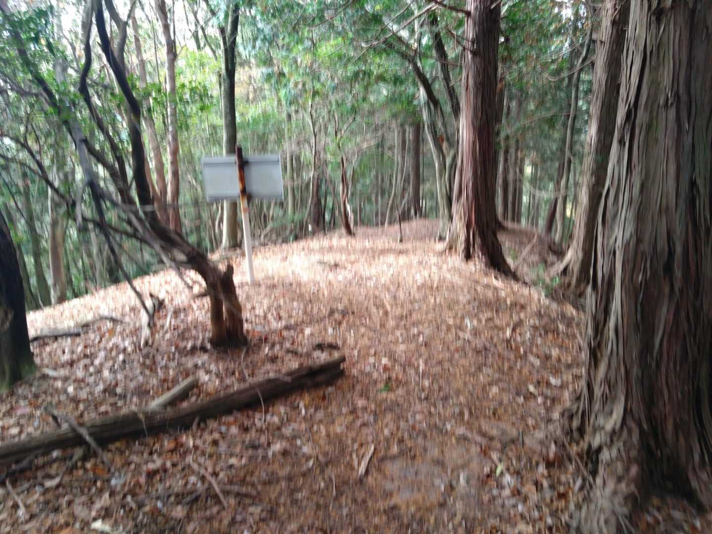分岐。案内板を左側に進みます。