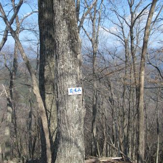 今日の最高地点、花咲山。