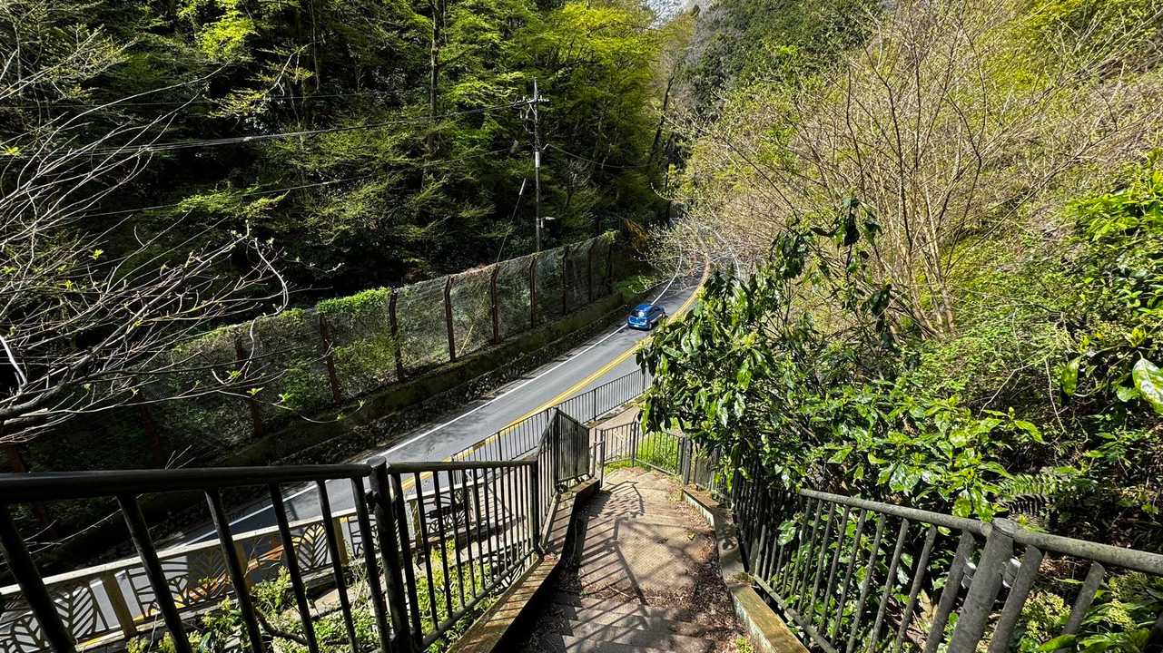 南高尾セブンサミッツ（大洞山・コンピラ山・中沢山・入沢山・泰光寺山・榎窪山・草戸山） の写真 10