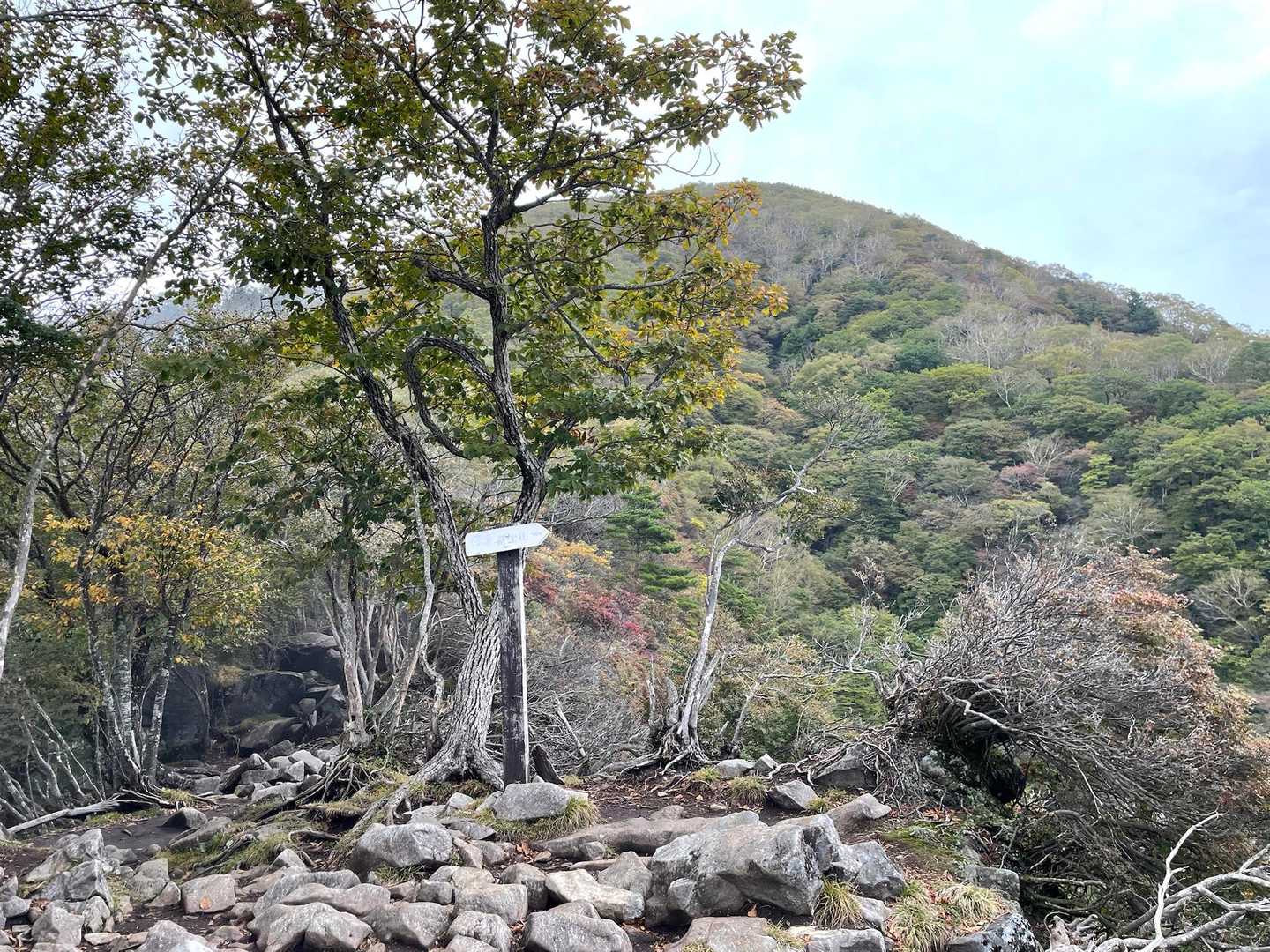 おおー山頂が見えるじゃん❗️