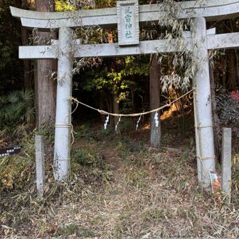 すぐに林道に出て、あとはひたすら舗装路をテクテク🚶‍♀️🚶