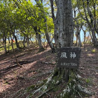 ずっと風が有り気持ち良く登れた♫
ただヘリコプターの音が近いたり遠のいたり…😵🚁の姿見えず救助？遭難？とずっと気になった