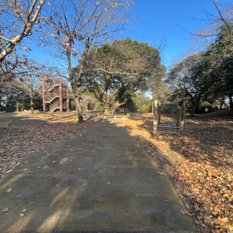 戻ってきて筆山（ひつざん）⛰️
高校生がゲツザカしてました🏃‍➡️
