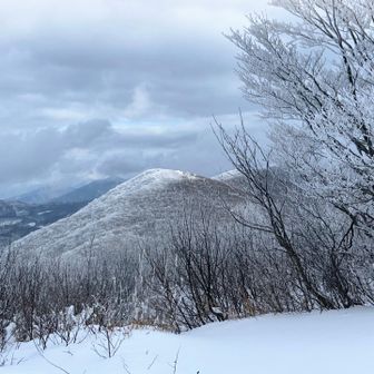 伊良谷が白く光ってる